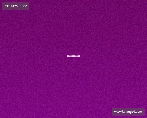 浙商银行科技有限公司